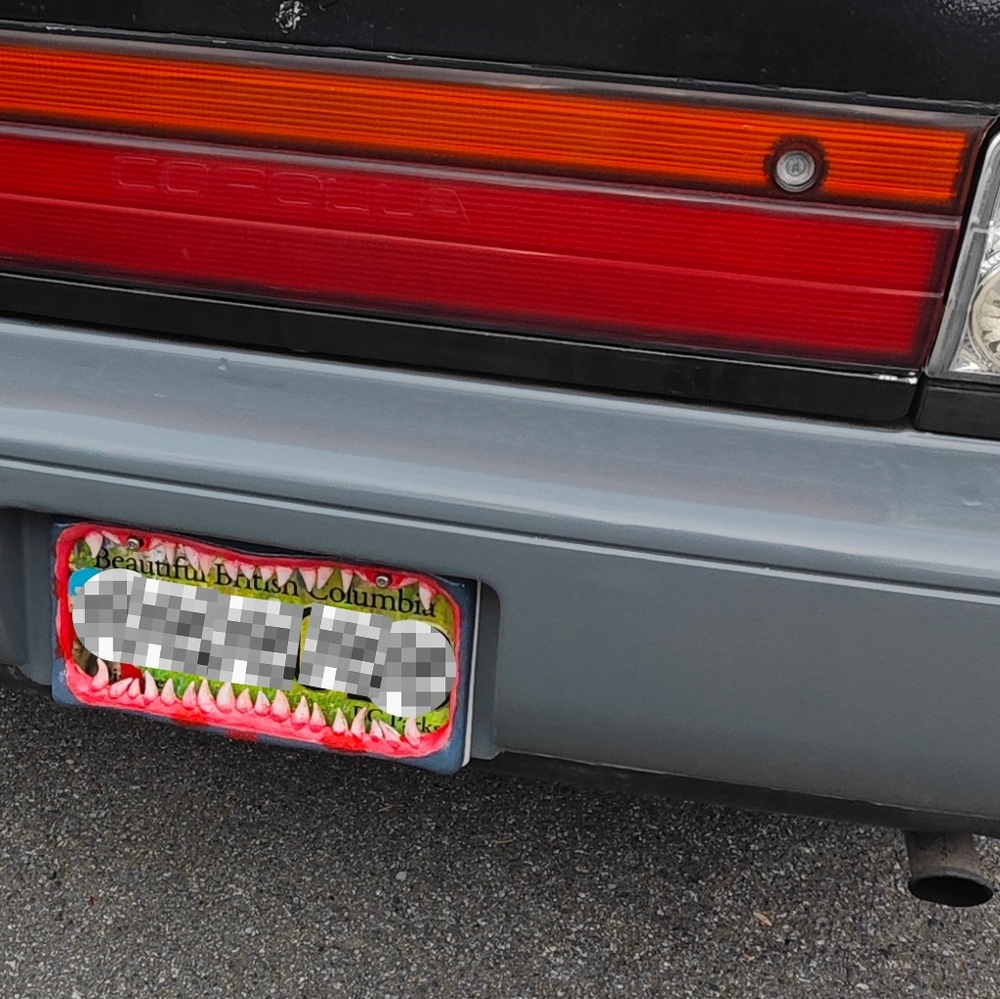 Single Jaws Shark Teeth License Plate Frame - Picture 10 of 10